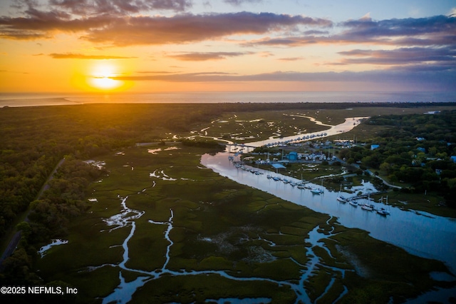 85118 Southern Creek Blvd, Fernandina Beach, FL 32034 - bird's eye view featuring a water view