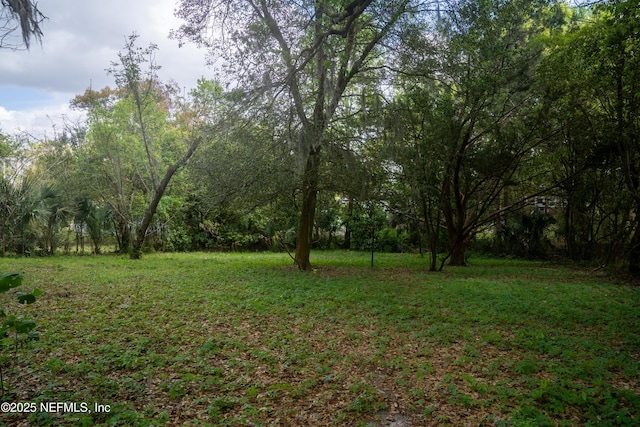 6835 Vermillion St, Jacksonville, FL 32208 - photo 10