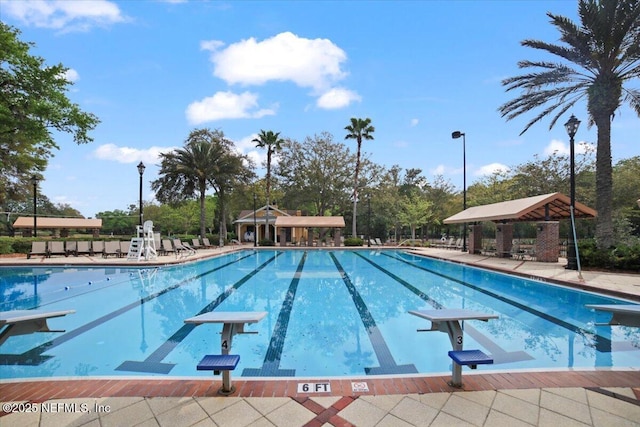 1074 Spanish Bay Ct, Orange Park, FL 32065 - pool featuring a patio and a diving board