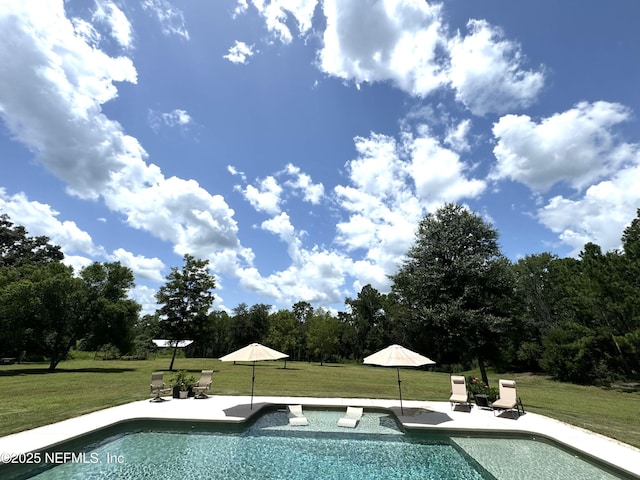 pool featuring a patio and a lawn