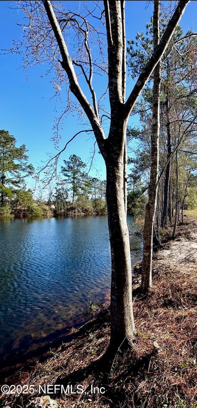 view of water feature