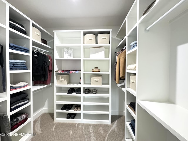 walk in closet with carpet flooring