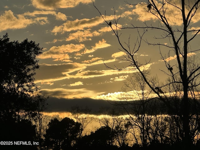 view of nature at dusk