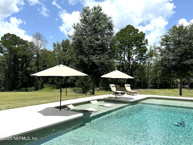 pool with a lawn and a patio