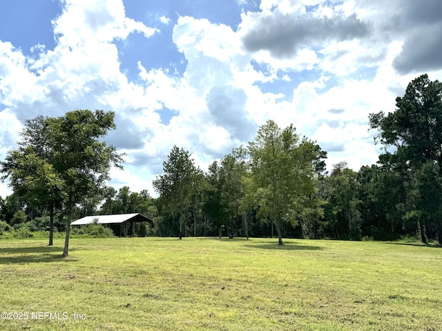 view of yard featuring a detached carport