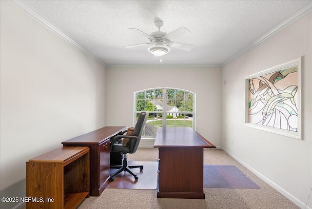 carpeted office space with a textured ceiling, baseboards, and ornamental molding