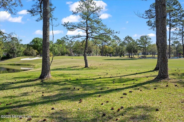 view of community featuring a yard and a water view