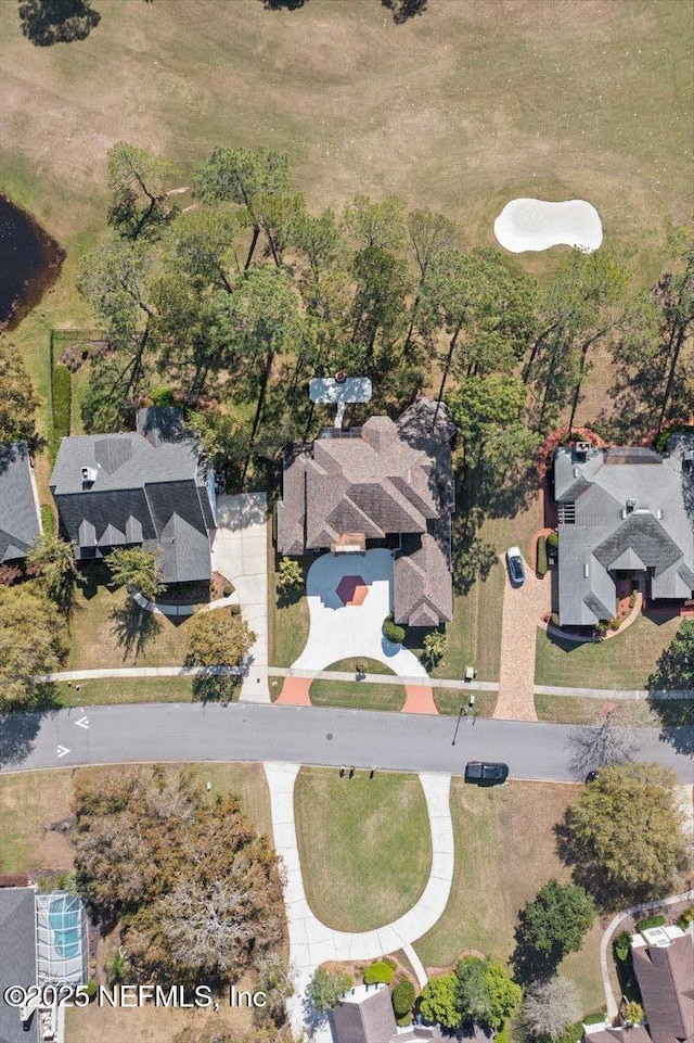 bird's eye view
