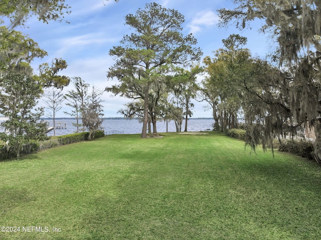 3079 Anderson Rd, Green Cove Springs, FL 32043 - view of yard with a water view