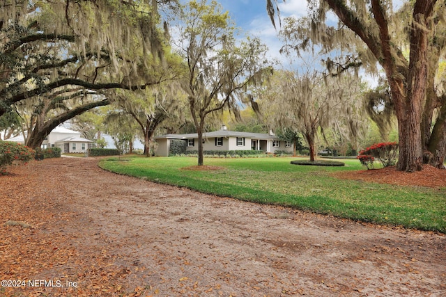 3079 Anderson Rd, Green Cove Springs, FL 32043 - view of yard