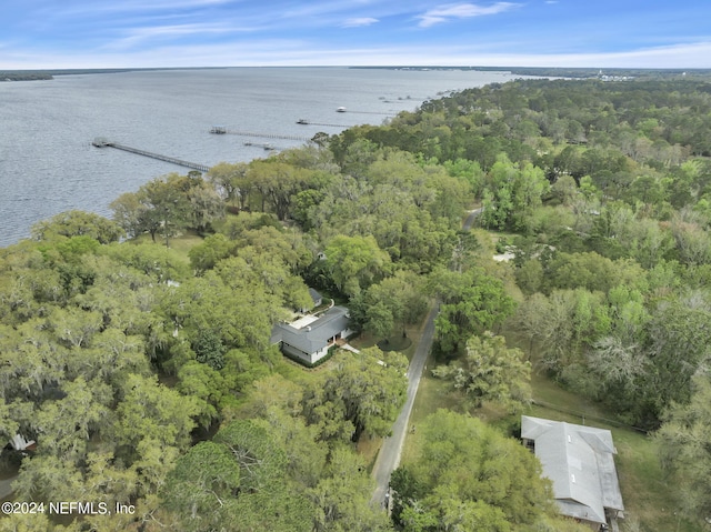 3079 Anderson Rd, Green Cove Springs, FL 32043 - bird's eye view featuring a water view and a view of trees