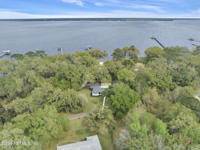 3079 Anderson Rd, Green Cove Springs, FL 32043 - aerial view with a water view