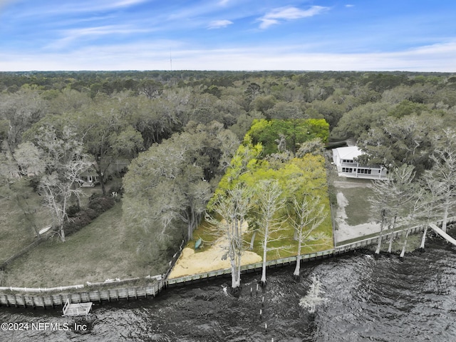 3079 Anderson Rd, Green Cove Springs, FL 32043 - bird's eye view featuring a view of trees and a water view