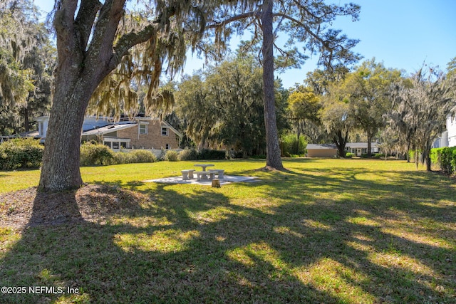 3079 Anderson Rd, Green Cove Springs, FL 32043 - view of yard