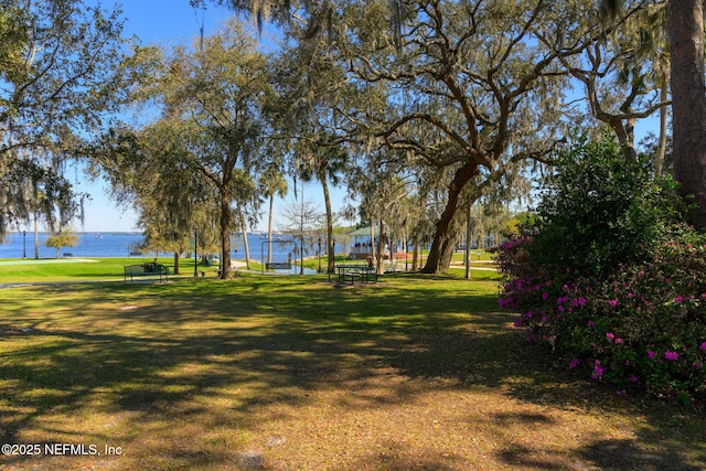 3079 Anderson Rd, Green Cove Springs, FL 32043 - view of property's community with a lawn and a water view