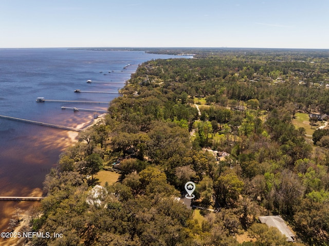 3079 Anderson Rd, Green Cove Springs, FL 32043 - birds eye view of property featuring a water view