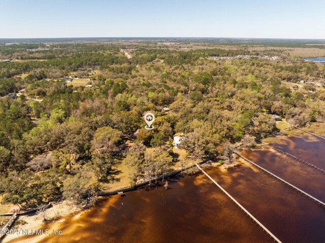 3079 Anderson Rd, Green Cove Springs, FL 32043 - drone / aerial view with a view of trees and a water view