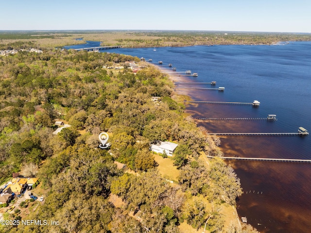 3079 Anderson Rd, Green Cove Springs, FL 32043 - drone / aerial view featuring a forest view and a water view