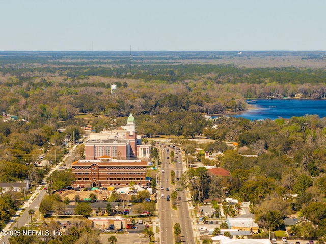 3079 Anderson Rd, Green Cove Springs, FL 32043 - birds eye view of property with a wooded view and a water view
