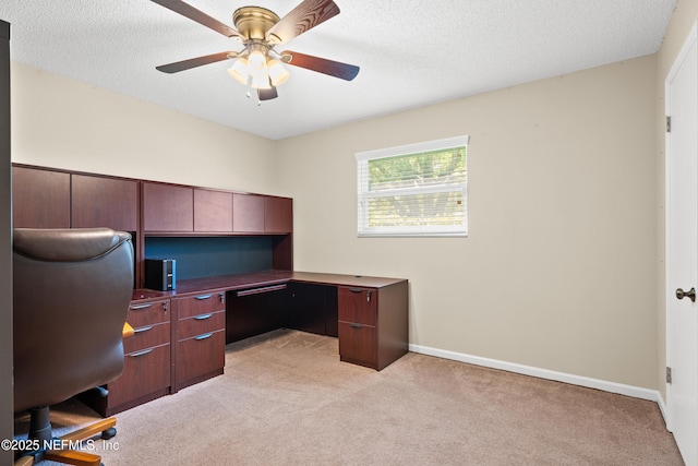 13049 Yaupon Pl, Jacksonville, FL 32246 - photo 23