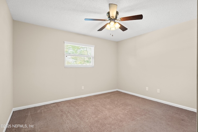 13049 Yaupon Pl, Jacksonville, FL 32246 - photo 24