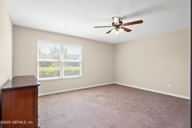 13049 Yaupon Pl, Jacksonville, FL 32246 - photo 20