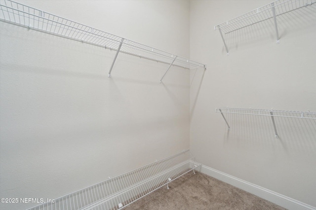 11319 Celsius Ct, Jacksonville, FL 32256 - photo 29