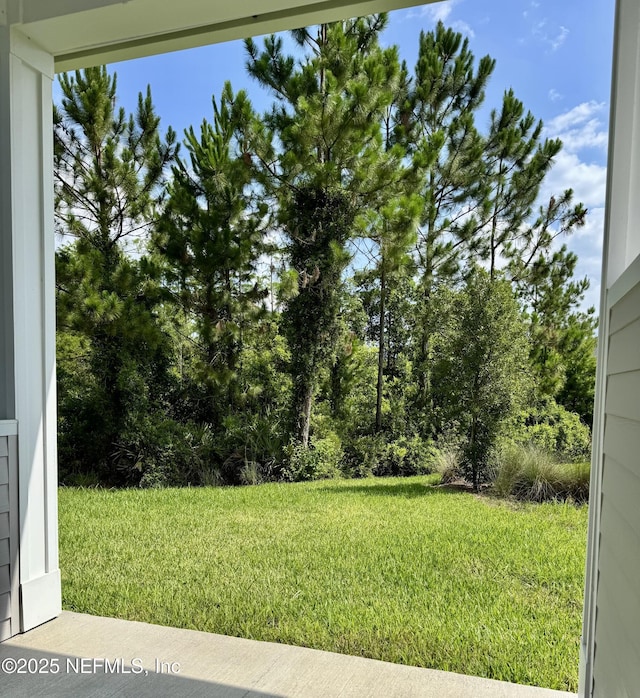 11319 Celsius Ct, Jacksonville, FL 32256 - photo 38