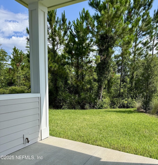 11319 Celsius Ct, Jacksonville, FL 32256 - photo 39