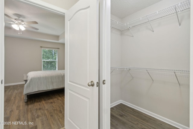 79 Boulder Rock Way, Saint Augustine, FL 32092 - spacious closet with wood finished floors and a ceiling fan