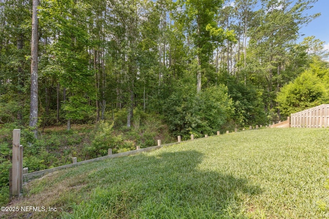79 Boulder Rock Way, Saint Augustine, FL 32092 - view of yard