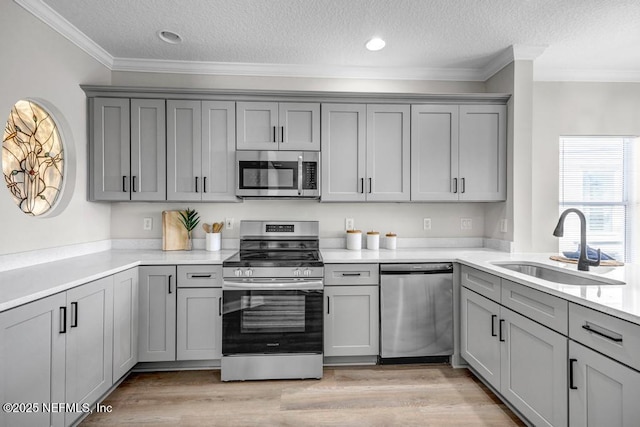95332 Village Dr, Fernandina Beach, FL 32034 - kitchen featuring a sink, gray cabinets, and stainless steel appliances