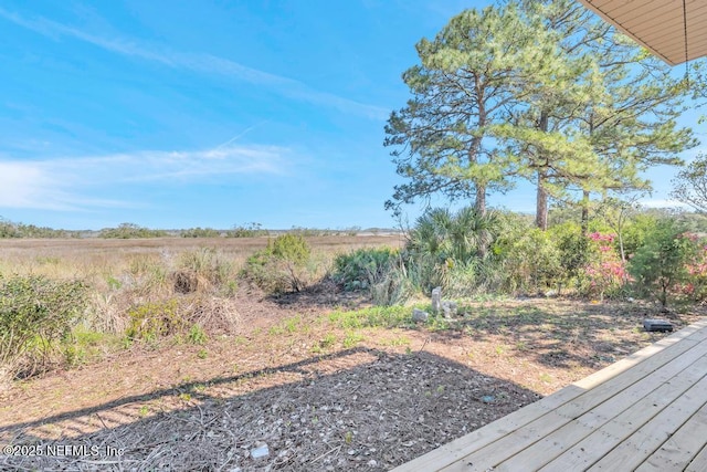 95332 Village Dr, Fernandina Beach, FL 32034 - view of yard