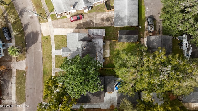 bird's eye view
