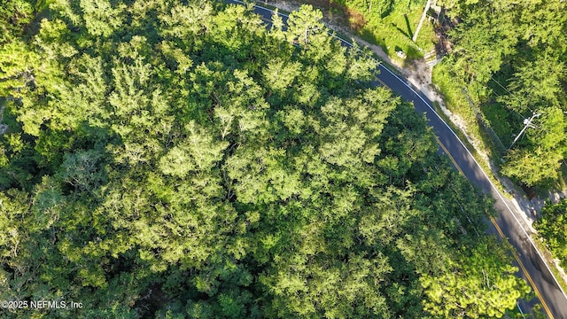 0 Old Woods Rd, Interlachen, FL 32148 - photo 6
