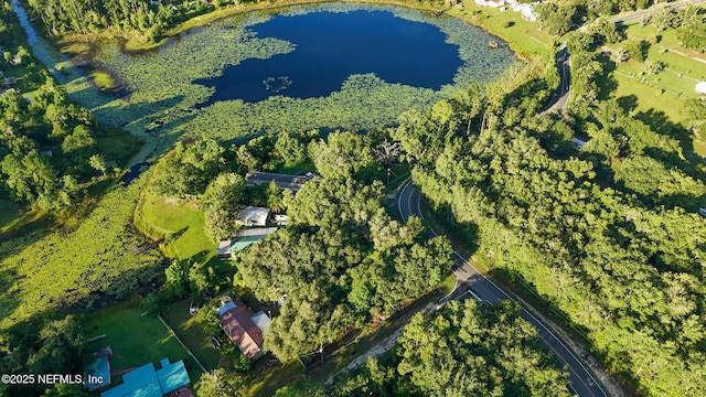 0 Old Woods Rd, Interlachen, FL 32148 - photo 11