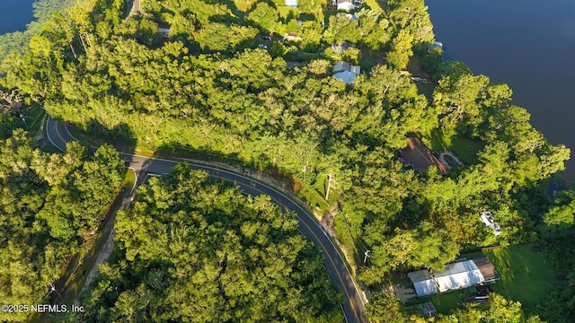 0 Old Woods Rd, Interlachen, FL 32148 - photo 13