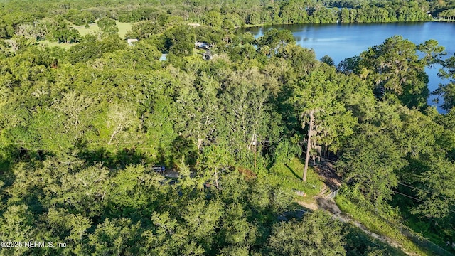 0 Old Woods Rd, Interlachen, FL 32148 - photo 14