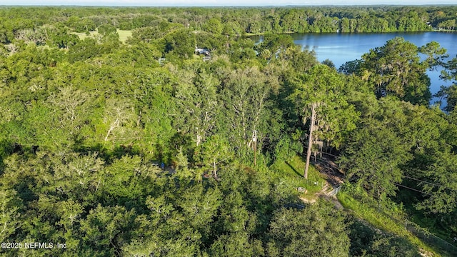 0 Old Woods Rd, Interlachen, FL 32148 - photo 15