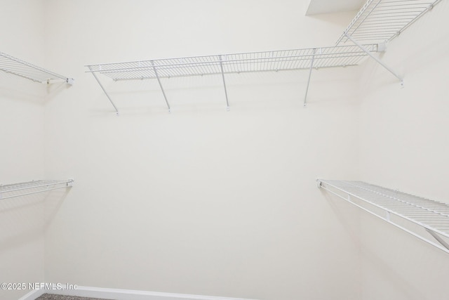 10435 Midtown Pkwy Unit 448, Jacksonville, FL 32246 - view of walk in closet