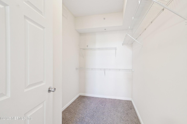 10435 Midtown Pkwy Unit 448, Jacksonville, FL 32246 - spacious closet with carpet flooring