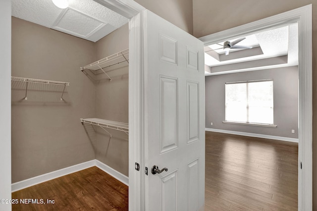 1317 Honeysuckle Dr, Saint Johns, FL 32259 - walk in closet featuring a raised ceiling and wood finished floors