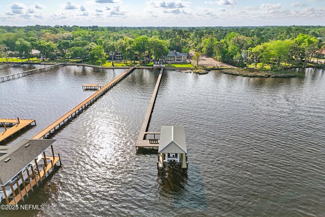12926 Riverplace Ct, Jacksonville, FL 32223 - photo 59