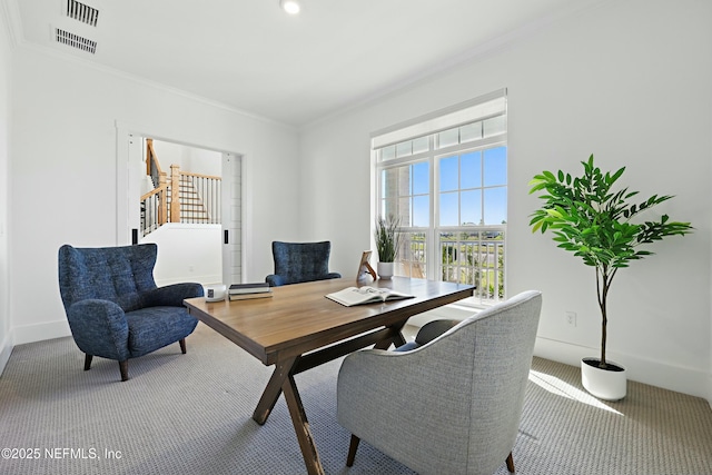 carpeted office space with baseboards and crown molding