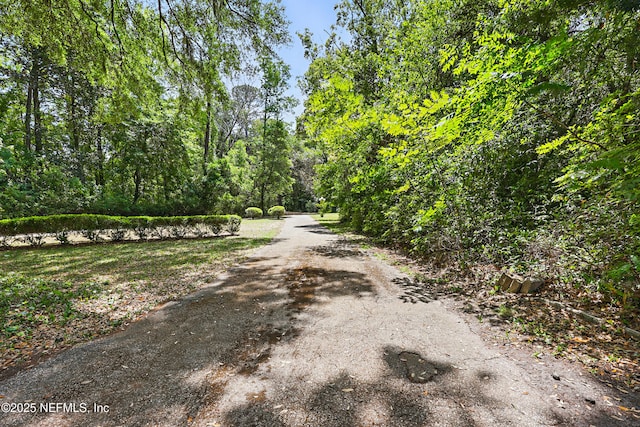 4441 Ortega Farms Cir, Jacksonville, FL 32210 - photo 28
