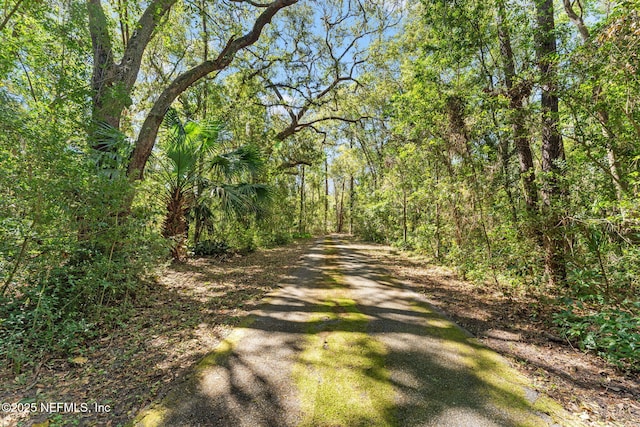 4441 Ortega Farms Cir, Jacksonville, FL 32210 - photo 29