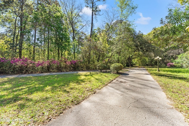 4441 Ortega Farms Cir, Jacksonville, FL 32210 - photo 11