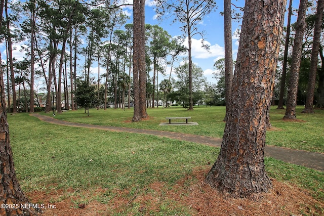 1007 Brierfield Dr, Jacksonville, FL 32205 - photo 31