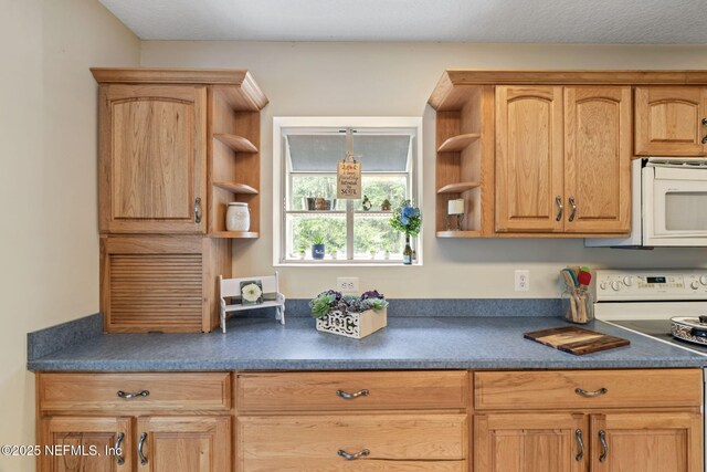 5398 Laurie Ln, Middleburg, FL 32068 - kitchen with electric stove, open shelves, white microwave, and dark countertops