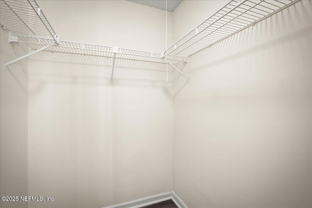 14319 Cedar Island Rd N, Jacksonville, FL 32250 - view of spacious closet